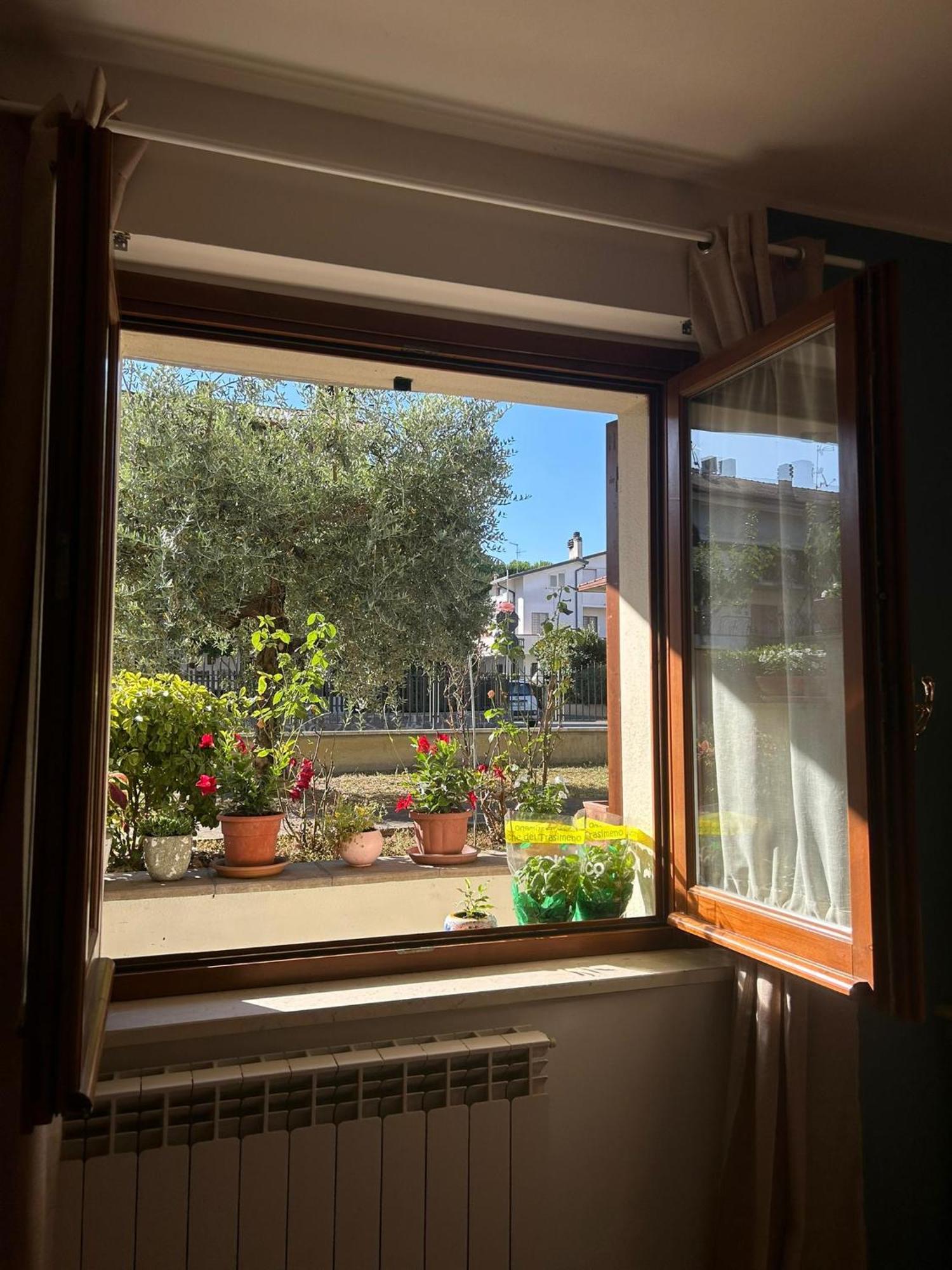 A Casa Di Francesco Santa Maria Degli Angeli (Assisi) Exterior foto